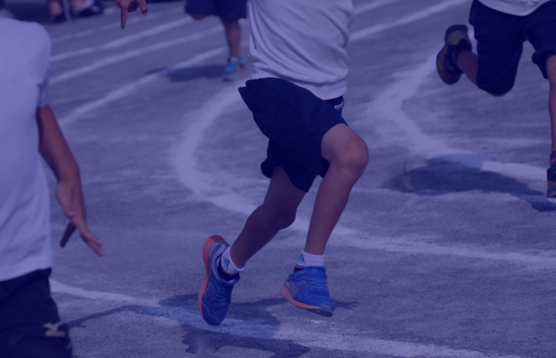 wellsports- 診療内容